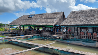 Tour Miền Tây: Mỹ Tho - Châu Đốc - Cần Thơ 3N2Đ - Làng Cá Bè - 23475