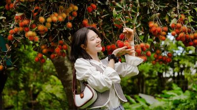 Tour Miền Tây: Mỹ Tho - Châu Đốc - Cần Thơ 3N2Đ - Vườn trái cây - 23476
