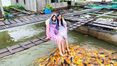 Tour Du lịch Miền Tây: TP.Hồ Chí Minh - Cần Thơ - Cồn Thới Sơn Trong Ngày - con son2  - 23488