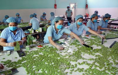 Tour Miền Tây: Mỹ Tho - Bến Tre Trong Ngày - sản xuất kẹo dừa - 23491