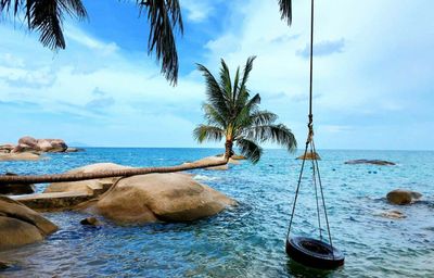 Tour Đảo Hòn Sơn 2 Ngày 2 Đêm Từ TP.HCM | Khởi hành thứ 6 hàng tuần - Cây Dừa Nằm tại Bãi Bấc - 23572