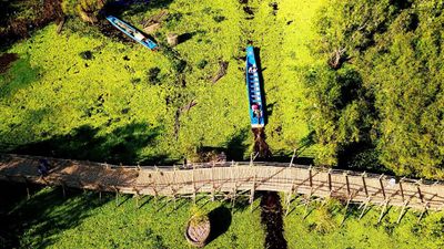 Tour Châu Đốc - Trà Sư - Cần Thơ 2N2Đ - cau-tre-van-buoc - 23600