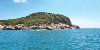 Tour Đà Lạt - Vĩnh Hy 4N3Đ | Khởi hành thứ 2 hàng tuần - Mũi Cá Ông - 23667