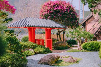 Tour Tà Đùng - Đà Lạt - Phan Thiết 4N3Đ - Vườn bonsai Hoàng Long - 23675