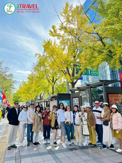 Tour Hàn Quốc: Seoul - Nami - Everland 5N4Đ - 464206741_970946975077709_2442170468703945447_n - 23754
