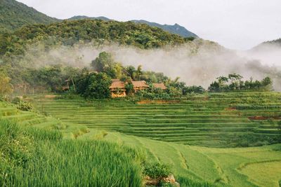Tour Lam Kinh – Pù Luông– Tràng An – Tam Chúc 5N4Đ - Pù Luông - 23777