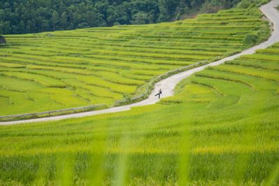 Tour Lam Kinh – Pù Luông– Tràng An – Tam Chúc 5N4Đ - Con đường chữ S Pù Luông - 23778
