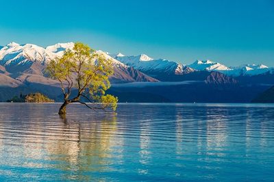 Tour Mùa Thu New Zealand 10N9Đ - Hồ Tekapo - 23844