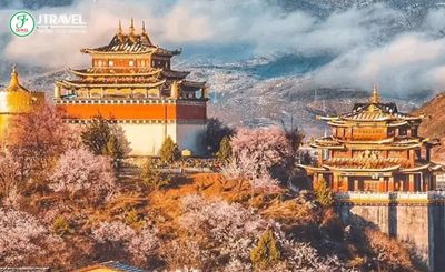 Tour Hoa Anh Đào Vũ Hán No Shopping 7N7Đ - Công viên Guishan - 24051