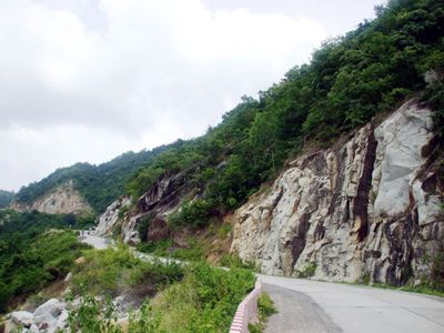 Tour Hoa Anh Đào Vũ Hán No Shopping 7N7Đ - Ngọa Long Sơn - 24052