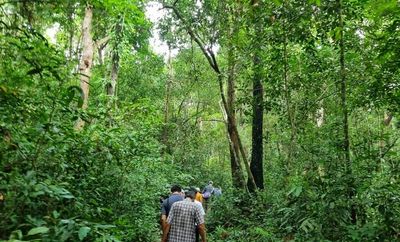 Tour Trekking: Cung đường Mã Đà - Hồ Trị An 2N1Đ - Trekking rừng Mã Đà - 24078
