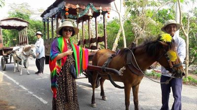 Tour Đoàn Team Building - Du Lịch Cần Thơ 2N1Đ - Khám phá con đường làng quê bằng xe ngựa - 24083