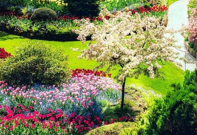 Tour Bờ Tây Canada: Lễ Hội Pháo Hoa 7N6Đ - tham quan Butchart Gardens - 24094