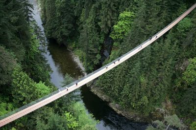 Tour Bờ Tây Canada: Lễ Hội Pháo Hoa 7N6Đ - Cầu treo Capilano - 24095