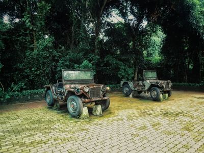 Tour Du Lịch Địa Đạo Củ Chi Trong Ngày - IMG_6085 - 24127