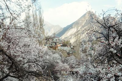 Tour Pakistan Mùa Hoa Anh Đào 10N9Đ: Lahore – Hunza – Hopper Valley – Khunjerab – Passu – Besham - Islamabad - pakistan-mua-hoa-anh-dao - 24289