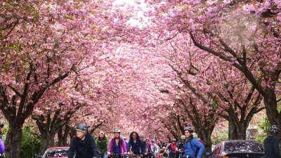 Tour Bờ Tây Canada Mùa Hoa Anh Đào 2026 | Vancouver - Đảo Victoria - Làng Whistler - White Rock Pier - VANCOUVER - 24297