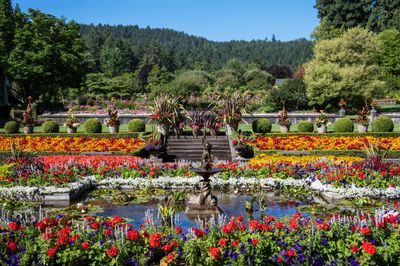 Tour Bờ Tây Canada Xem World Cup 2026: Vancouver – Đảo Victoria – White Rock Pier - Butchart Gardens - 24351