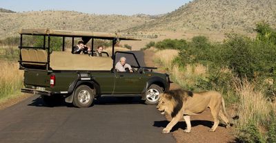 Tour Hà Nội - Nam Phi: Cape Town - Sun City - Pretoria - Johannesburg 8N7Đ - Game-drives5 - 24414