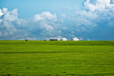 Tour Mông Cổ: Khám Phá Ulaanbaatar – Terelj National Park - Mông cổ - 24436