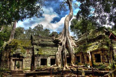 Tour Hà Nội - Campuchia: Siem Reap - Phnom Penh - Du thuyền trên biển hồ Tonle Sap mùa nước nổi - Đền Ta Pruhm - 24467