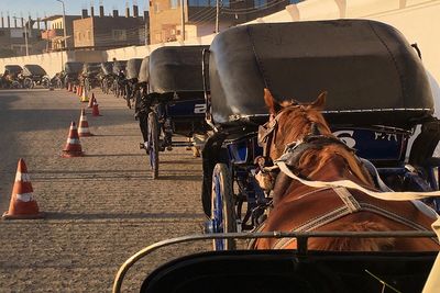 Tour Khám Phá Văn Minh Ai Cập Bay Emirates 5 sao: Cairo – Aswan - Edfu - Luxor Du Thuyền Sông Nile 9N8Đ - á - 24669