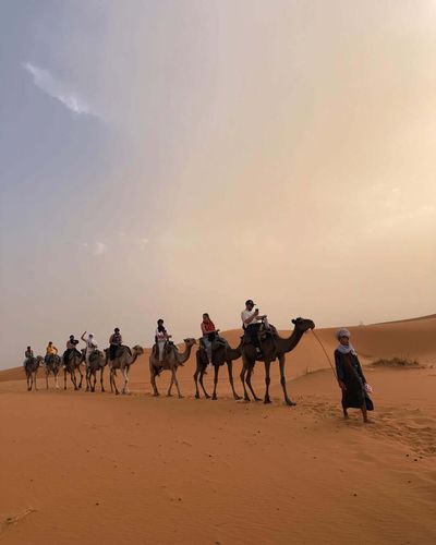 Tour Maroc: Hành trình từ Casablanca đến Sahara huyền bí - Sa mạc Sahara - 24677