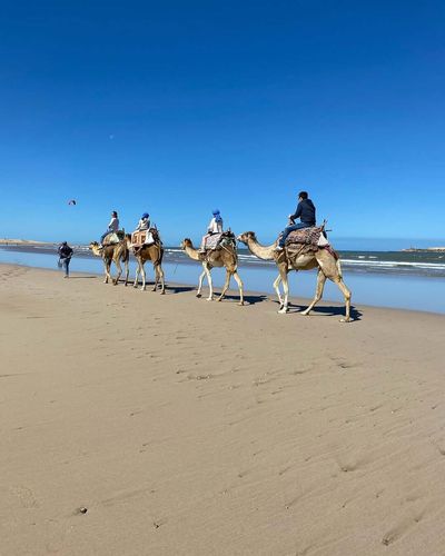 Tour Maroc: Hành trình từ Casablanca đến Sahara huyền bí - Sa mạc - 24678