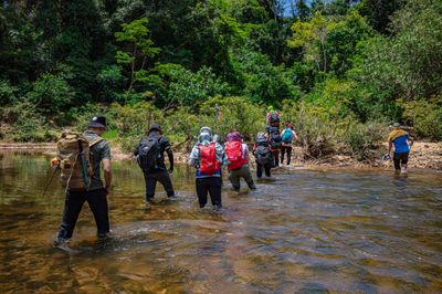 Tour Trekking: Thác K50 Gia Lai 2N2Đ - cung đường đi - 24953