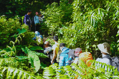 Tour Trekking: Thác K50 Gia Lai 2N2Đ - cung đường đi - 24954