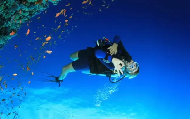 A scuba diver in the water

AI-generated content may be incorrect.
