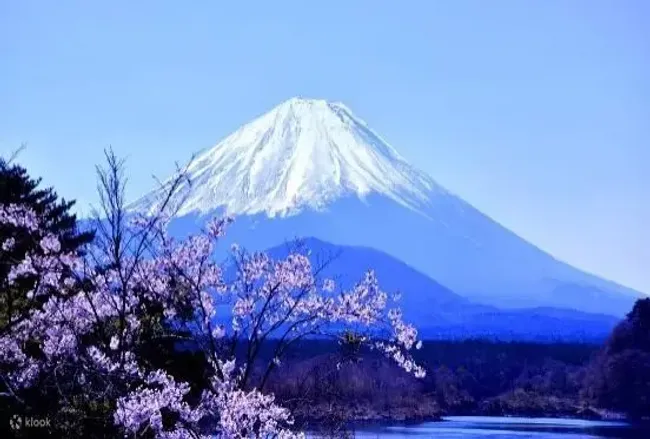 富士山五合目& 河口湖& 忍野八海& 御殿场Outlet 经典路线一日游- Klook客路
